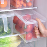 Refrigerator Storage Box – 2L Plastic Organizer Without Cover - Thumbnail 3