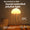 Jellyfish LED Mood Lamp – Relaxing Night Light for Desk & Bedside
